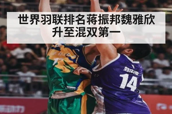 世界羽联排名蒋振邦魏雅欣升至混双第一